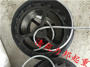 防坠器|安全防坠器|高空防坠器--河北东圣吊索具制造有限公司