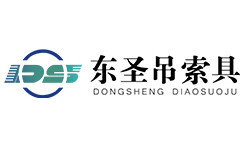 防坠器|安全防坠器|高空防坠器--河北东圣吊索具制造有限公司